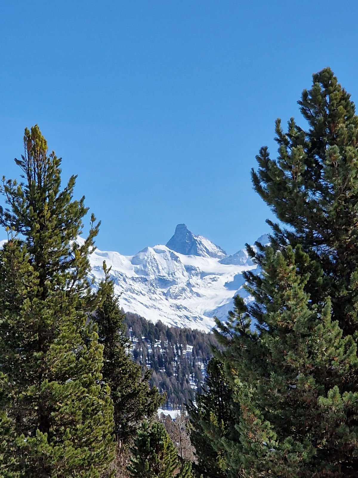L'accueil